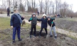 Plantations Cavalier   002